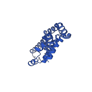 25032_7scb_AW_v1-2
B-cylinder of Synechocystis PCC 6803 Phycobilisome, complex with OCP - local refinement
