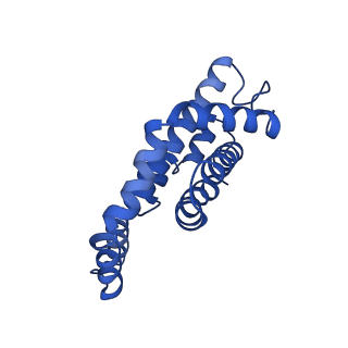 25032_7scb_AY_v1-2
B-cylinder of Synechocystis PCC 6803 Phycobilisome, complex with OCP - local refinement