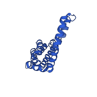 25032_7scb_AZ_v1-2
B-cylinder of Synechocystis PCC 6803 Phycobilisome, complex with OCP - local refinement