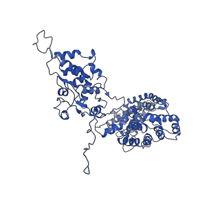 25032_7scb_BE_v1-2
B-cylinder of Synechocystis PCC 6803 Phycobilisome, complex with OCP - local refinement