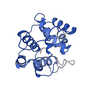 25032_7scb_BH_v1-2
B-cylinder of Synechocystis PCC 6803 Phycobilisome, complex with OCP - local refinement