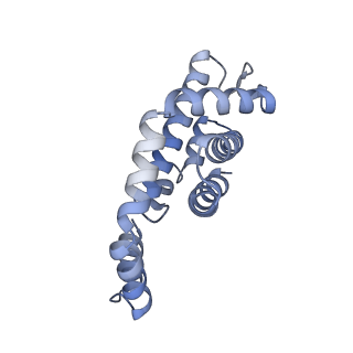 25033_7scc_AA_v1-2
T-cylinder of Synechocystis PCC 6803 Phycobilisome, complex with OCP - local refinement