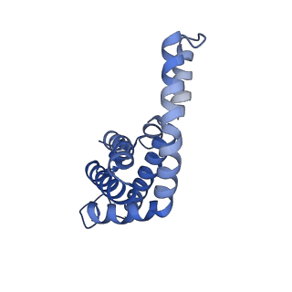 25033_7scc_AB_v1-2
T-cylinder of Synechocystis PCC 6803 Phycobilisome, complex with OCP - local refinement