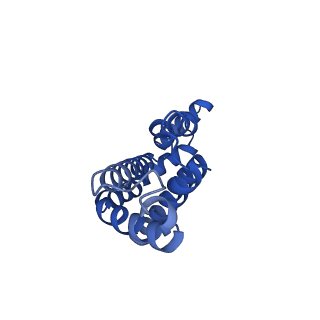 25033_7scc_AC_v1-2
T-cylinder of Synechocystis PCC 6803 Phycobilisome, complex with OCP - local refinement