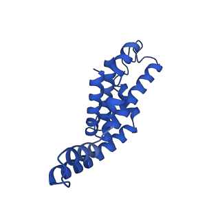 25033_7scc_AD_v1-2
T-cylinder of Synechocystis PCC 6803 Phycobilisome, complex with OCP - local refinement