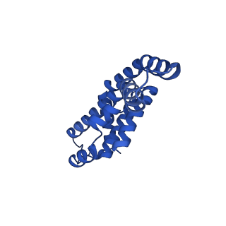 25033_7scc_AE_v1-2
T-cylinder of Synechocystis PCC 6803 Phycobilisome, complex with OCP - local refinement