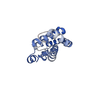 25033_7scc_AF_v1-2
T-cylinder of Synechocystis PCC 6803 Phycobilisome, complex with OCP - local refinement