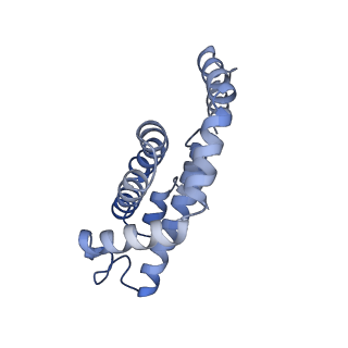 25033_7scc_AH_v1-2
T-cylinder of Synechocystis PCC 6803 Phycobilisome, complex with OCP - local refinement