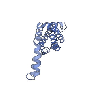 25033_7scc_AI_v1-2
T-cylinder of Synechocystis PCC 6803 Phycobilisome, complex with OCP - local refinement