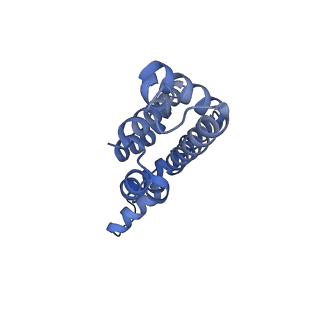 25033_7scc_AJ_v1-2
T-cylinder of Synechocystis PCC 6803 Phycobilisome, complex with OCP - local refinement