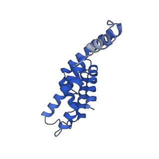 25033_7scc_AK_v1-2
T-cylinder of Synechocystis PCC 6803 Phycobilisome, complex with OCP - local refinement