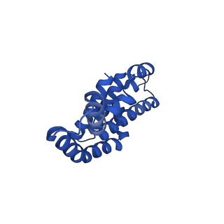 25033_7scc_AL_v1-2
T-cylinder of Synechocystis PCC 6803 Phycobilisome, complex with OCP - local refinement