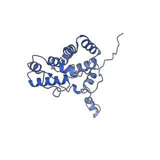 25033_7scc_AQ_v1-2
T-cylinder of Synechocystis PCC 6803 Phycobilisome, complex with OCP - local refinement