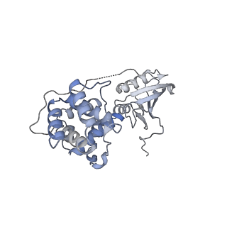25033_7scc_AS_v1-2
T-cylinder of Synechocystis PCC 6803 Phycobilisome, complex with OCP - local refinement