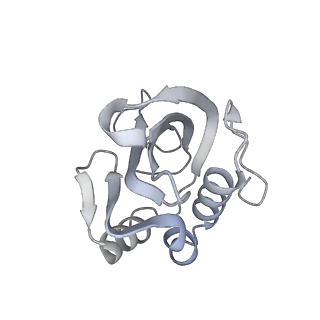 25033_7scc_AT_v1-2
T-cylinder of Synechocystis PCC 6803 Phycobilisome, complex with OCP - local refinement