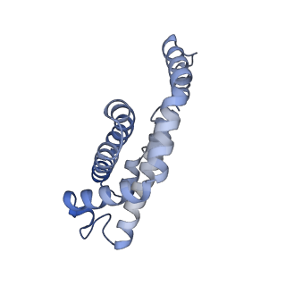 25033_7scc_AW_v1-2
T-cylinder of Synechocystis PCC 6803 Phycobilisome, complex with OCP - local refinement