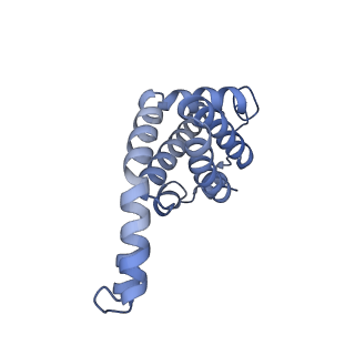 25033_7scc_AX_v1-2
T-cylinder of Synechocystis PCC 6803 Phycobilisome, complex with OCP - local refinement