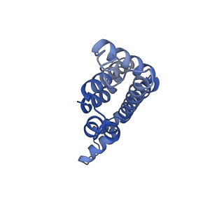 25033_7scc_AY_v1-2
T-cylinder of Synechocystis PCC 6803 Phycobilisome, complex with OCP - local refinement