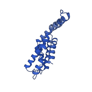 25033_7scc_AZ_v1-2
T-cylinder of Synechocystis PCC 6803 Phycobilisome, complex with OCP - local refinement
