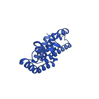 25033_7scc_BA_v1-2
T-cylinder of Synechocystis PCC 6803 Phycobilisome, complex with OCP - local refinement
