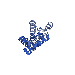 25033_7scc_BB_v1-2
T-cylinder of Synechocystis PCC 6803 Phycobilisome, complex with OCP - local refinement
