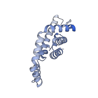 25033_7scc_BD_v1-2
T-cylinder of Synechocystis PCC 6803 Phycobilisome, complex with OCP - local refinement