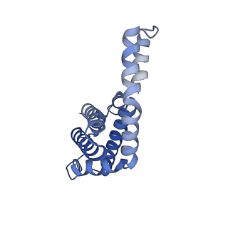 25033_7scc_BE_v1-2
T-cylinder of Synechocystis PCC 6803 Phycobilisome, complex with OCP - local refinement