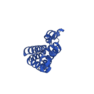25033_7scc_BF_v1-2
T-cylinder of Synechocystis PCC 6803 Phycobilisome, complex with OCP - local refinement