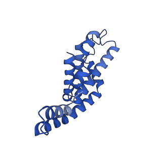 25033_7scc_BG_v1-2
T-cylinder of Synechocystis PCC 6803 Phycobilisome, complex with OCP - local refinement