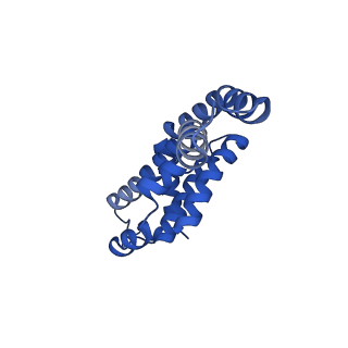 25033_7scc_BH_v1-2
T-cylinder of Synechocystis PCC 6803 Phycobilisome, complex with OCP - local refinement