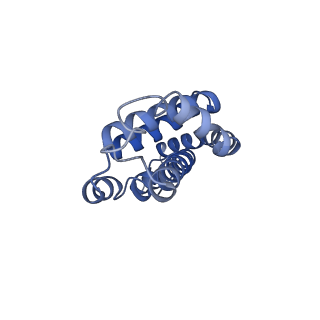 25033_7scc_BI_v1-2
T-cylinder of Synechocystis PCC 6803 Phycobilisome, complex with OCP - local refinement