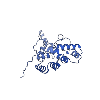 25033_7scc_BM_v1-2
T-cylinder of Synechocystis PCC 6803 Phycobilisome, complex with OCP - local refinement