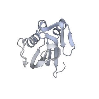 25033_7scc_BO_v1-2
T-cylinder of Synechocystis PCC 6803 Phycobilisome, complex with OCP - local refinement