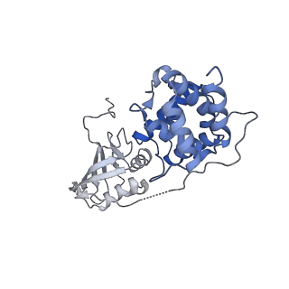 25033_7scc_BP_v1-2
T-cylinder of Synechocystis PCC 6803 Phycobilisome, complex with OCP - local refinement