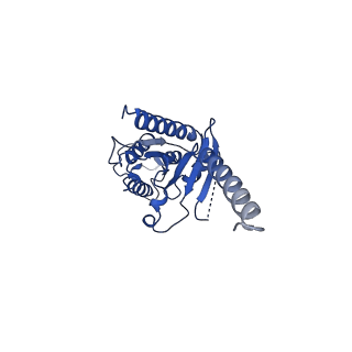 25034_7scg_A_v1-2
FH210 bound Mu Opioid Receptor-Gi Protein Complex