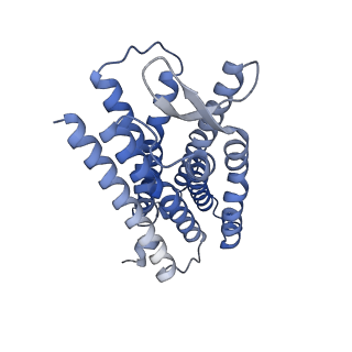 25034_7scg_D_v1-2
FH210 bound Mu Opioid Receptor-Gi Protein Complex