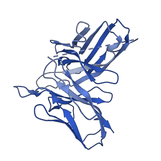 25034_7scg_E_v1-2
FH210 bound Mu Opioid Receptor-Gi Protein Complex