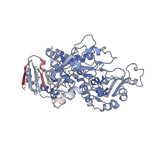 25035_7sch_A_v1-2
Cryo-EM structure of the human Exostosin-1 and Exostosin-2 heterodimer