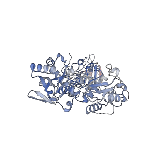 25035_7sch_B_v1-2
Cryo-EM structure of the human Exostosin-1 and Exostosin-2 heterodimer