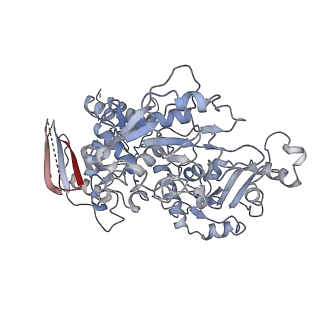 25036_7scj_A_v1-2
Cryo-EM structure of the human Exostosin-1 and Exostosin-2 heterodimer in complex with a 4-sugar oligosaccharide acceptor analog