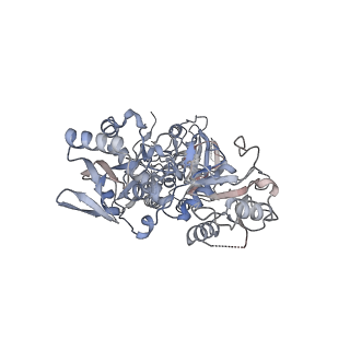 25036_7scj_B_v1-2
Cryo-EM structure of the human Exostosin-1 and Exostosin-2 heterodimer in complex with a 4-sugar oligosaccharide acceptor analog