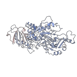 25037_7sck_A_v1-2
Cryo-EM structure of the human Exostosin-1 and Exostosin-2 heterodimer in complex with a 7-sugar oligosaccharide acceptor analog