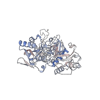 25037_7sck_B_v1-2
Cryo-EM structure of the human Exostosin-1 and Exostosin-2 heterodimer in complex with a 7-sugar oligosaccharide acceptor analog