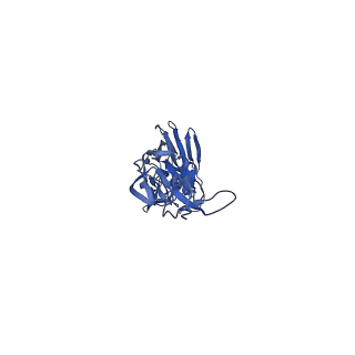 25039_7scn_A_v1-1
Structure of H1 NC99 influenza hemagglutinin bound to Fab 310-63E6