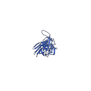 25039_7scn_C_v1-1
Structure of H1 NC99 influenza hemagglutinin bound to Fab 310-63E6