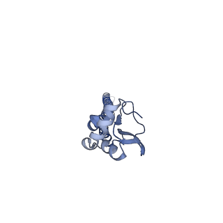 25039_7scn_D_v1-1
Structure of H1 NC99 influenza hemagglutinin bound to Fab 310-63E6