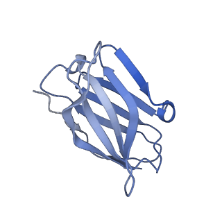 25039_7scn_E_v1-1
Structure of H1 NC99 influenza hemagglutinin bound to Fab 310-63E6