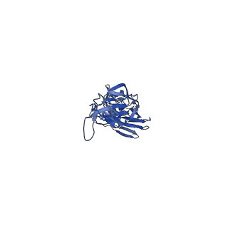 25039_7scn_G_v1-1
Structure of H1 NC99 influenza hemagglutinin bound to Fab 310-63E6