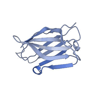 25039_7scn_H_v1-1
Structure of H1 NC99 influenza hemagglutinin bound to Fab 310-63E6