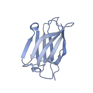 25039_7scn_J_v1-1
Structure of H1 NC99 influenza hemagglutinin bound to Fab 310-63E6